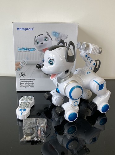 Antaprcis remote control robot - antaprcis,