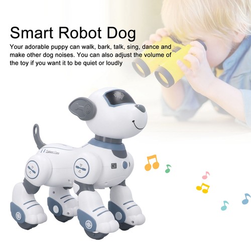 Remote control robot - robot, dog