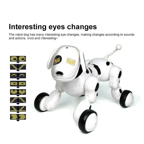 Smart dog sing dance - smart,