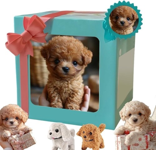 Robot puppy interactive - an,