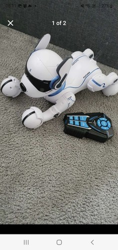 Robot dog toy - robot,