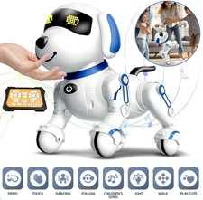 Remote Control Robot Dog Toy