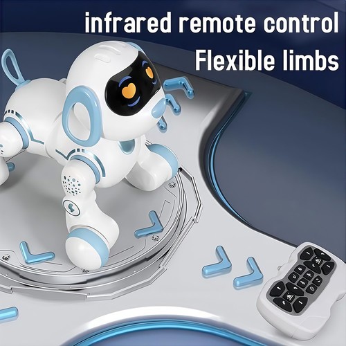 Remote control robot - control,