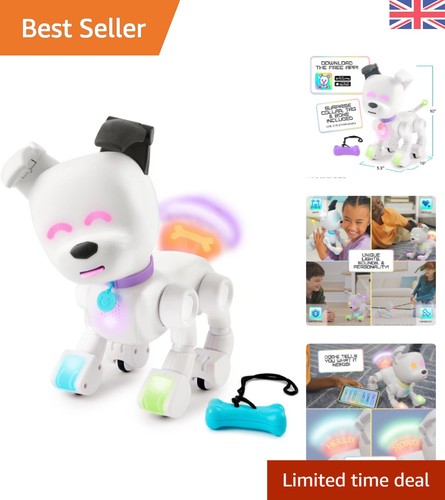 Interactive robot dog - interactive,