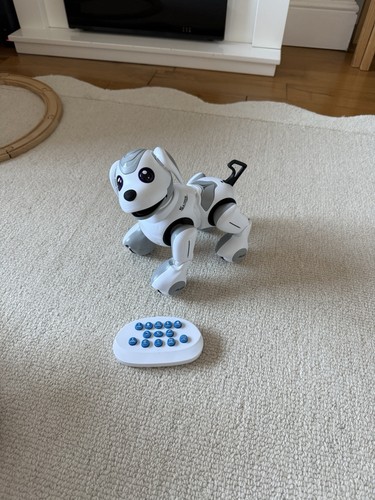 Robot dog toy with - robot,